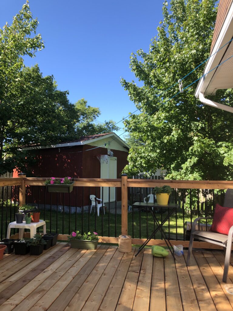A view of one side of a backyard patio with chairs and flowers and a shed in the background.