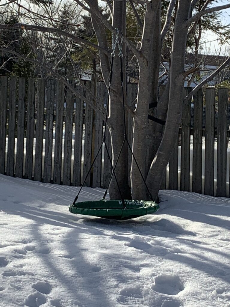A circular swing hangs from a bare tree, it’s just a few inches above the above snow covered ground 
