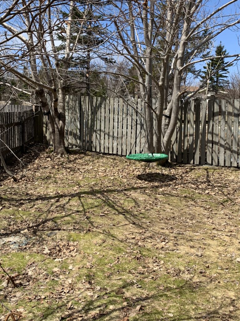 A saucer swing hangs from a tree in a early spring backyard 