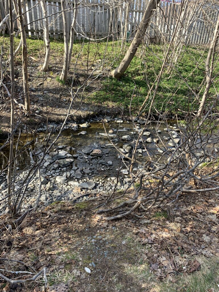 A photo of a shallow river in early spring.