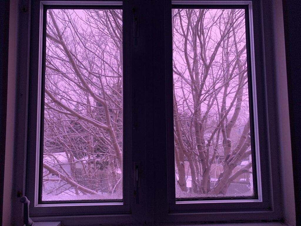 A photo of a small window with bare tree branches ?on the outside. Everything outside looks a soft pinky-purple.