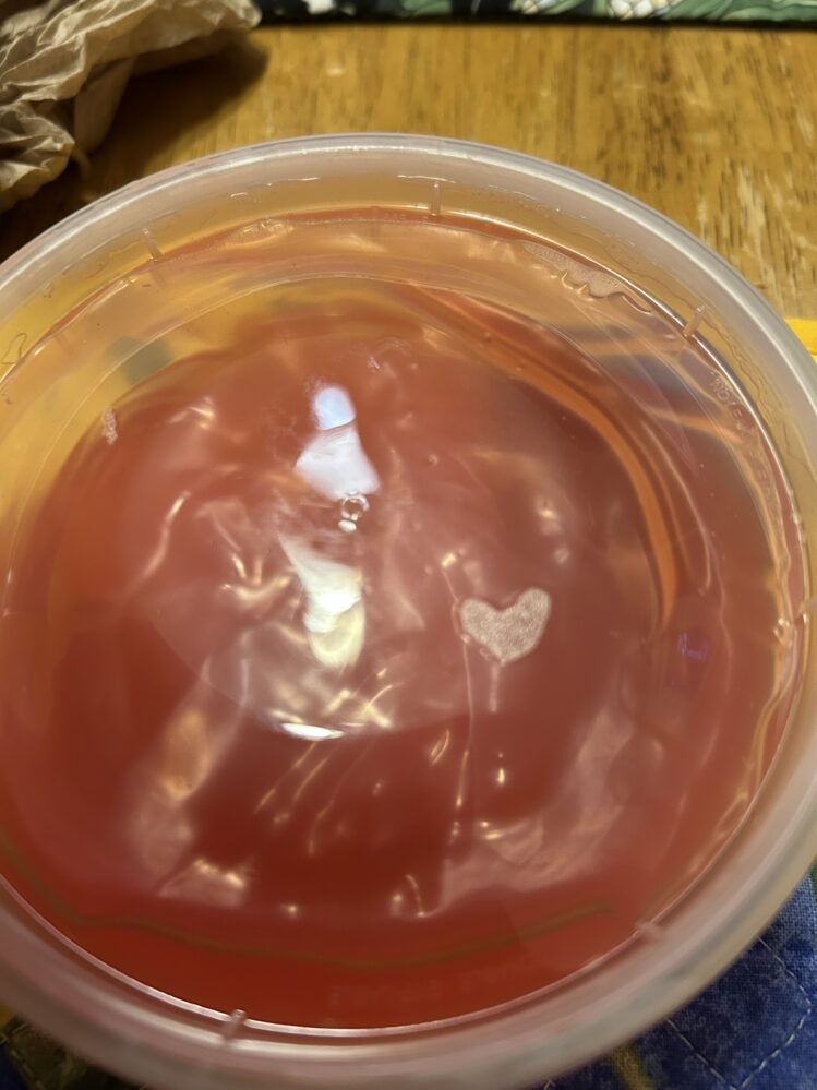 A photo of a container of cherry sauce with a heat made of steam visible on the right side of the cover.
